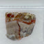 Jurassic Coprolite – Fossilized Dinosaur Dung