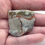 Jurassic Coprolite – Fossilized Dinosaur Dung