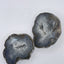 Coconut Geodes- Pair