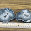 Coconut Geodes- Pair
