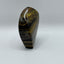 Golden Tiger’s Eye - Curved Teardrop