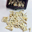 Shark Teeth & Aquatic Fossils