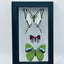 Framed Butterfly Trio