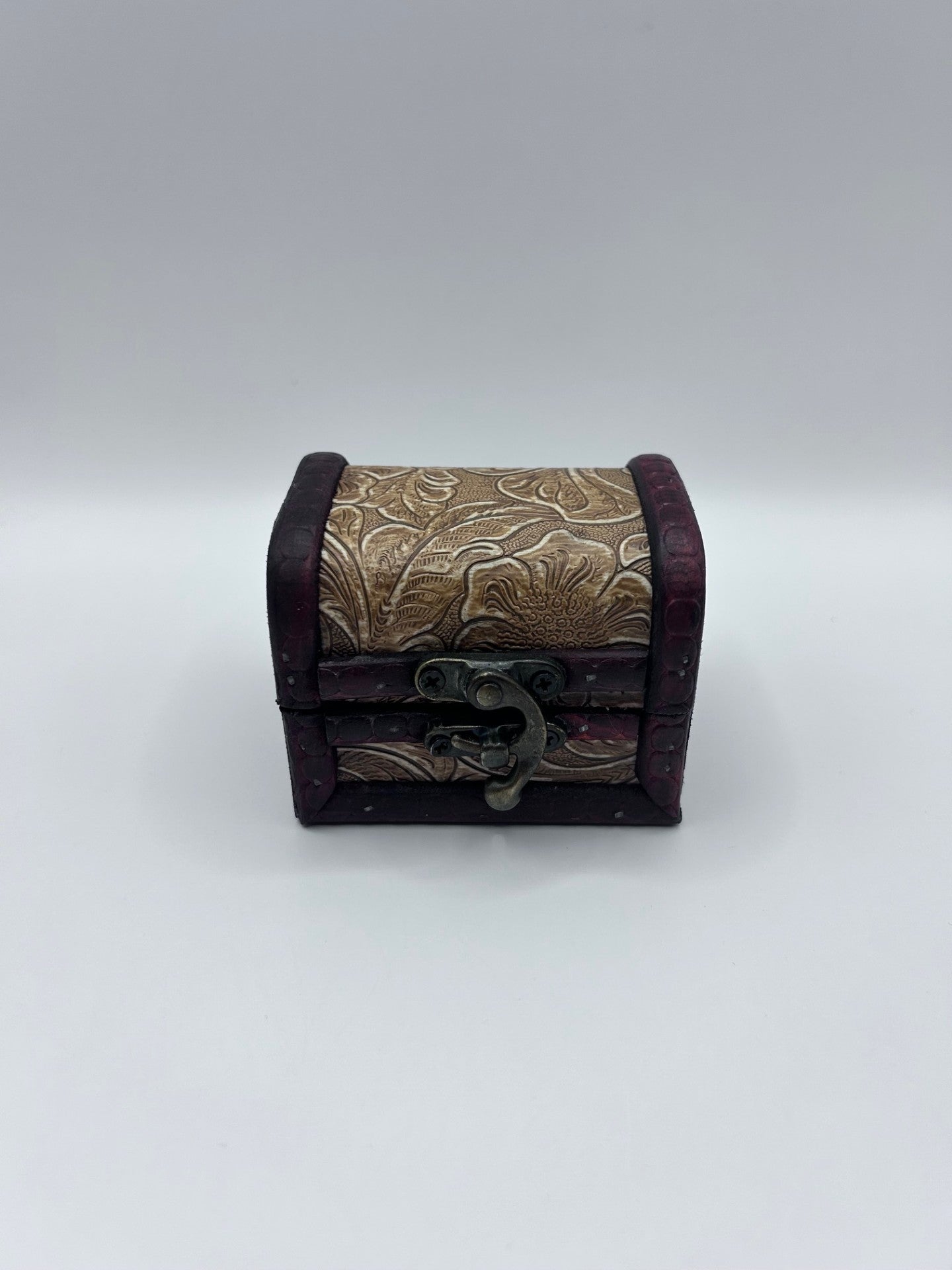 Shark Teeth & Aquatic Fossils