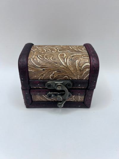 Shark Teeth & Aquatic Fossils