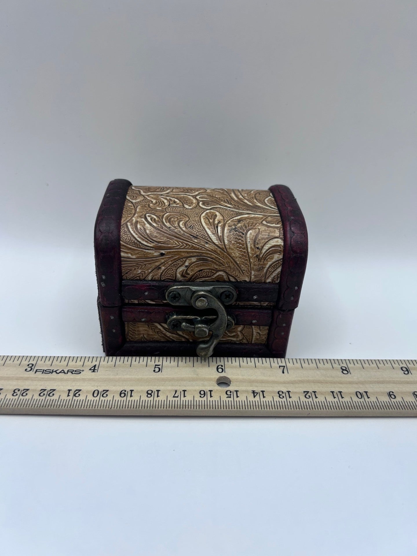 Shark Teeth & Aquatic Fossils