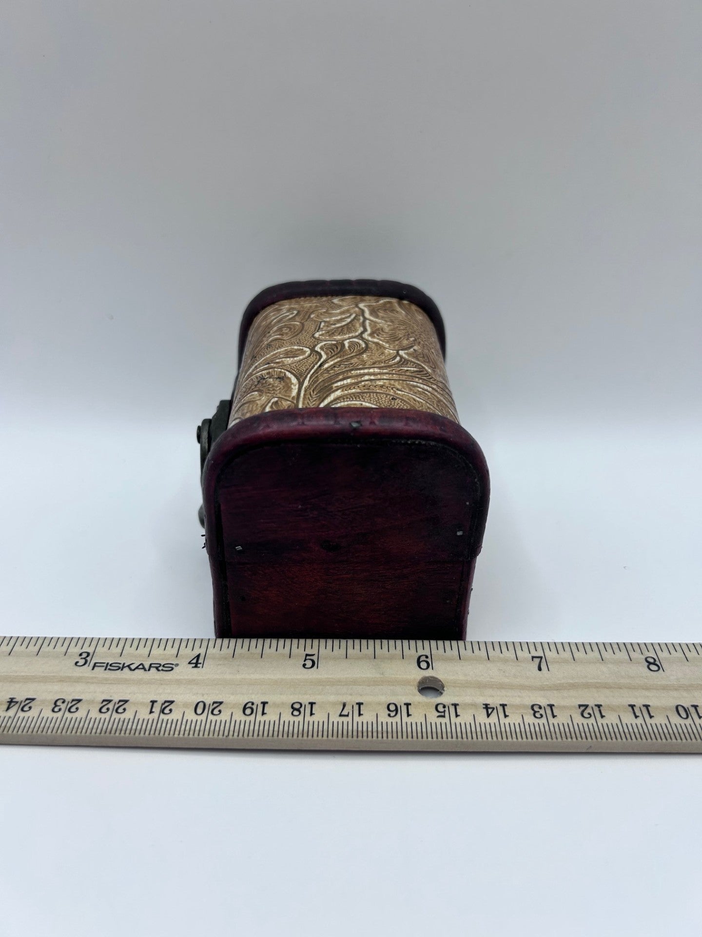 Shark Teeth & Aquatic Fossils