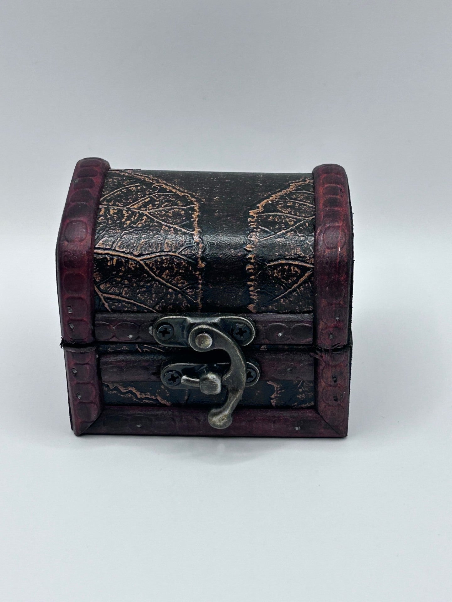 Shark Teeth & Aquatic Fossils