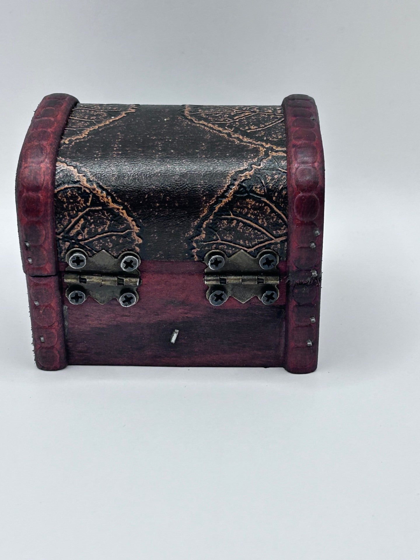 Shark Teeth & Aquatic Fossils