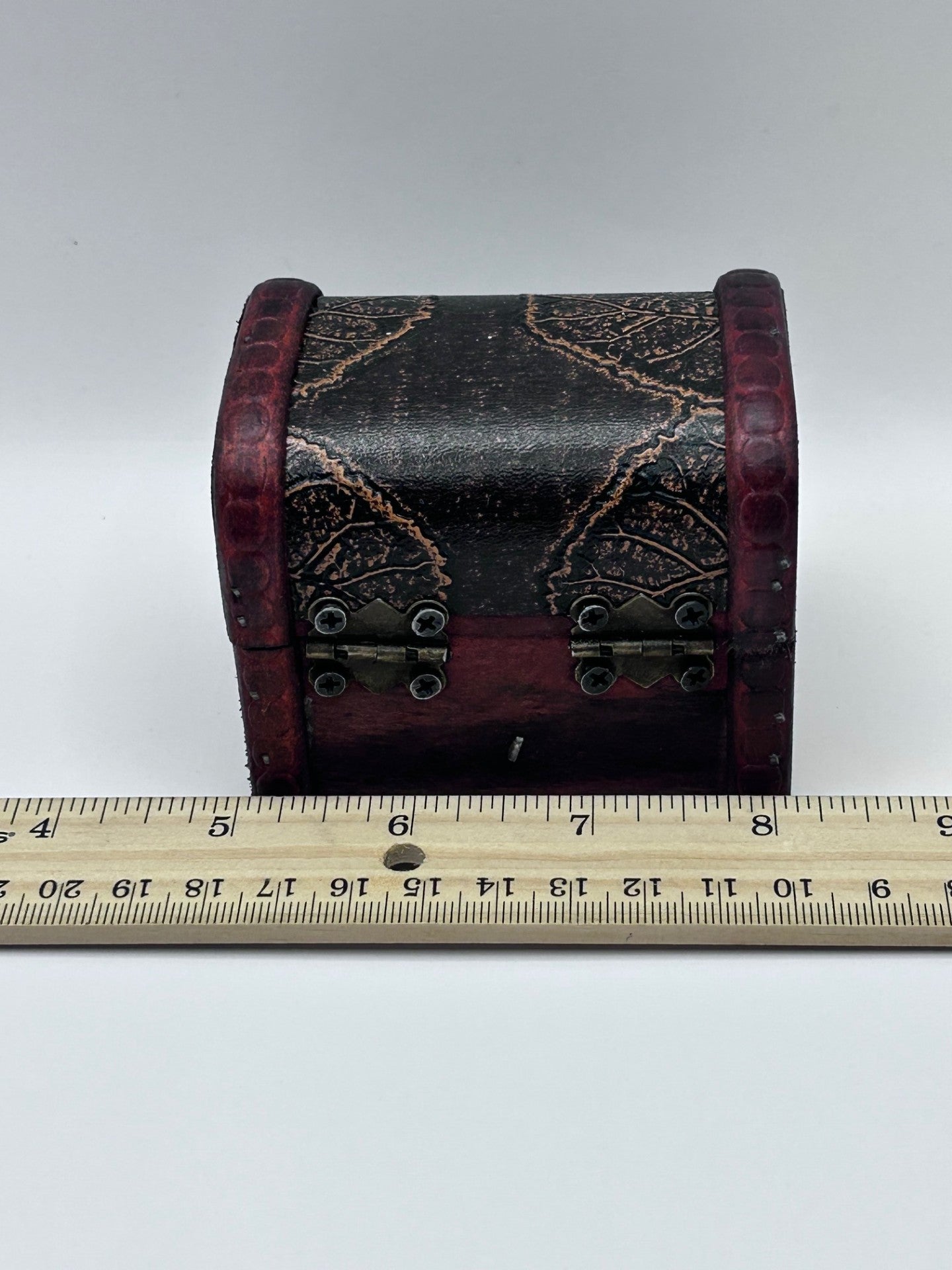 Shark Teeth & Aquatic Fossils