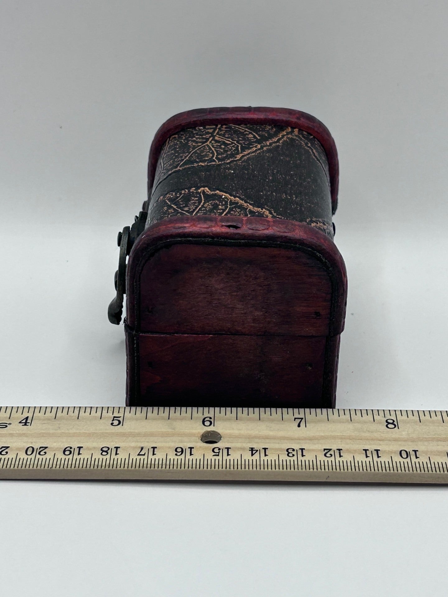 Shark Teeth & Aquatic Fossils