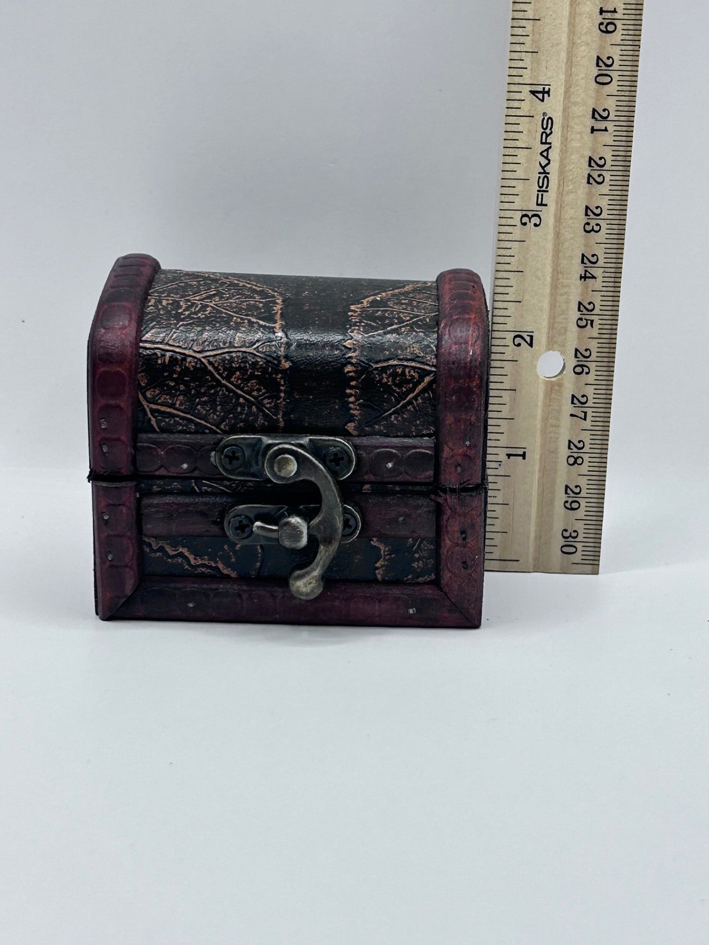 Shark Teeth & Aquatic Fossils