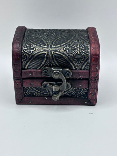 Shark Teeth & Aquatic Fossils