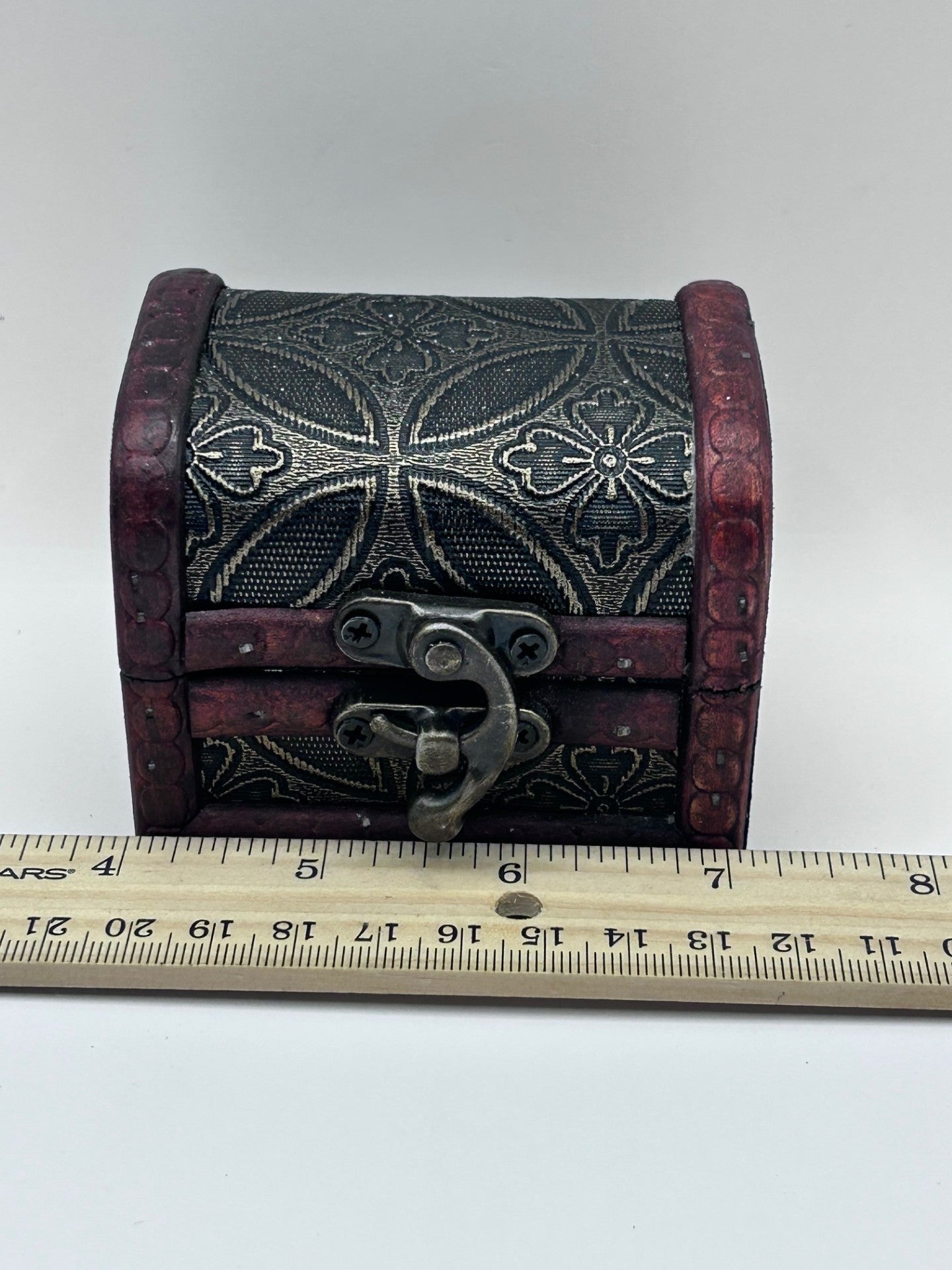 Shark Teeth & Aquatic Fossils