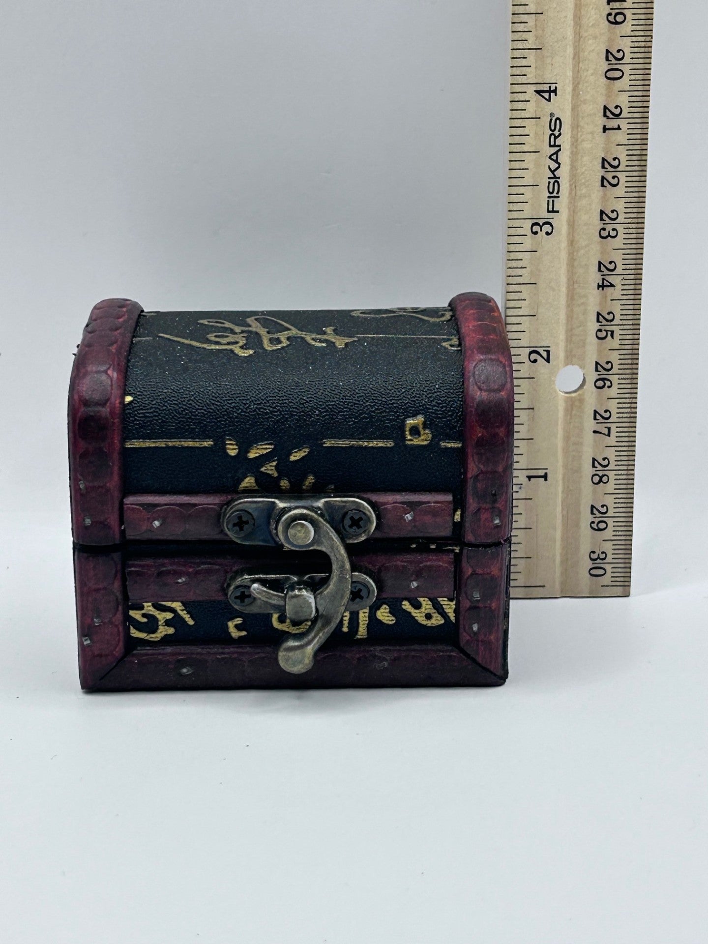 Shark Teeth & Aquatic Fossils