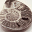 Fossil Ammonite (Choffaticeras)