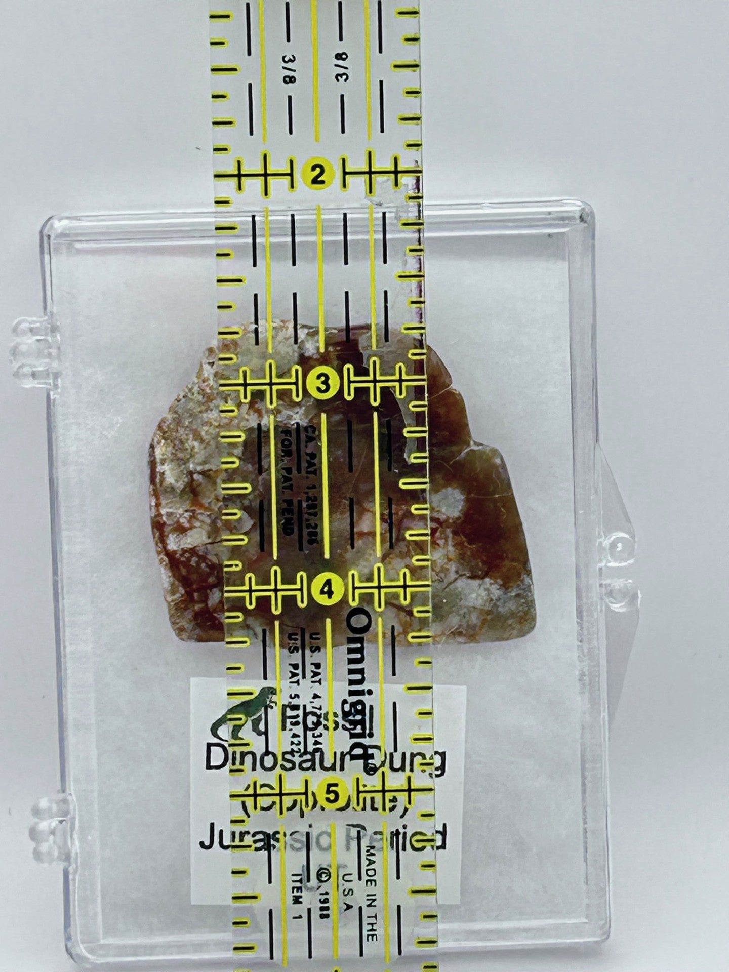 Jurassic Coprolite – Fossilized Dinosaur Dung