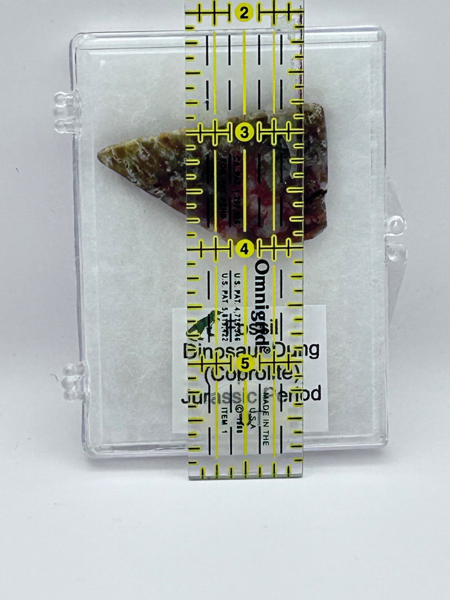 Jurassic Coprolite – Fossilized Dinosaur Dung