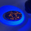 Yooperlite (Syenite with Sodalite) Palm Stone