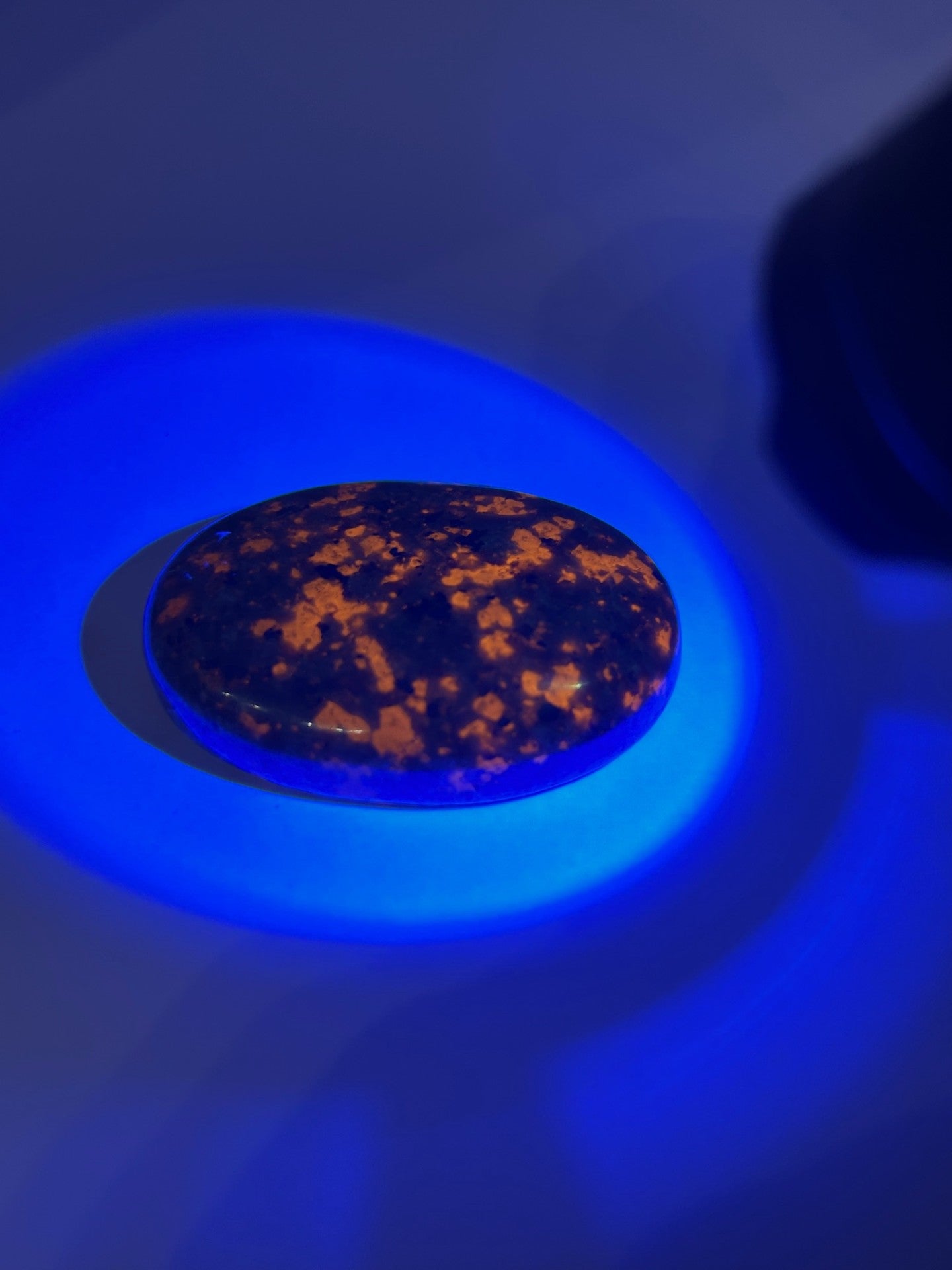 Yooperlite (Syenite with Sodalite) Palm Stone