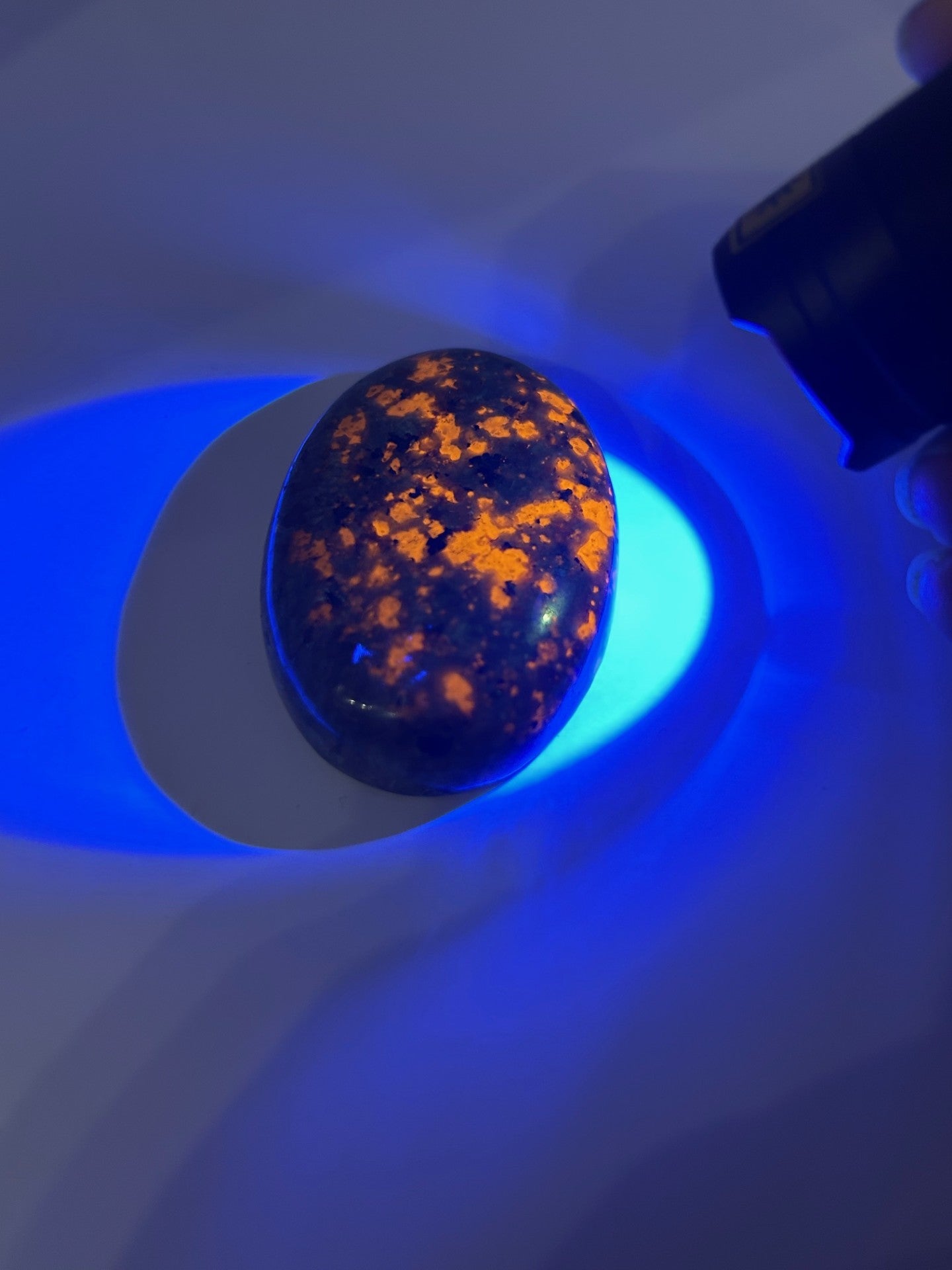 Yooperlite (Syenite with Sodalite) Palm Stone