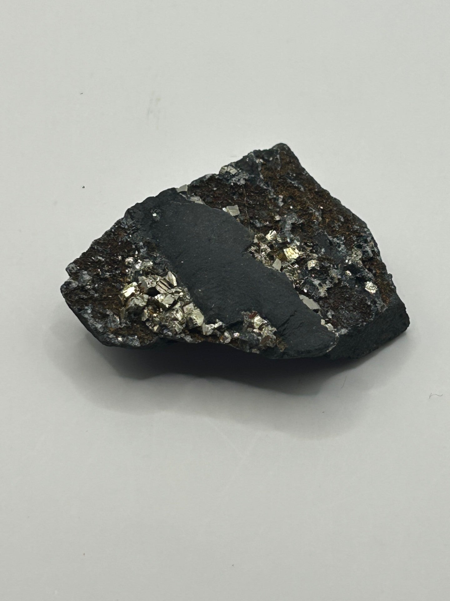 Shungite with Pyrite from Brazil