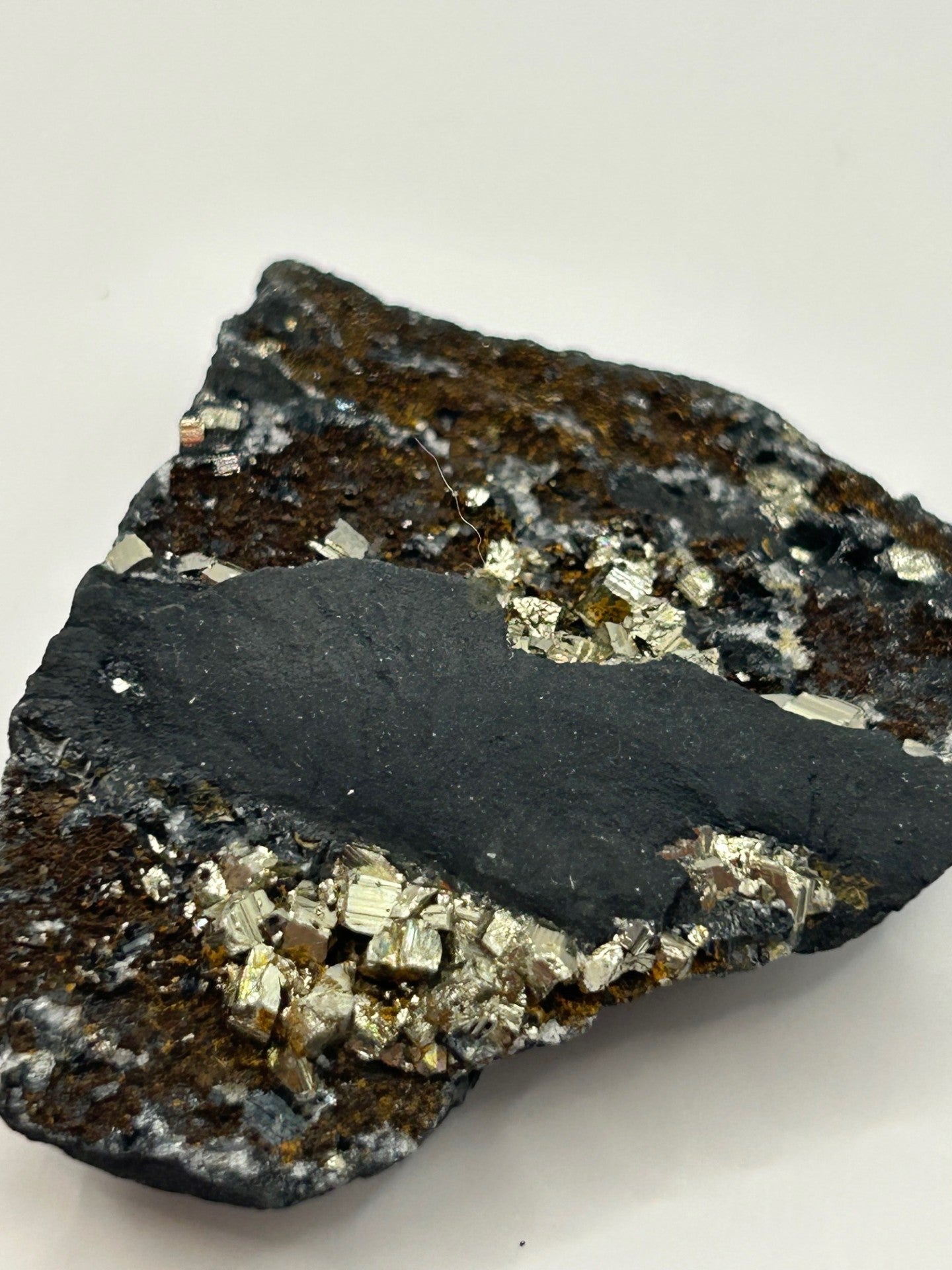 Shungite with Pyrite from Brazil