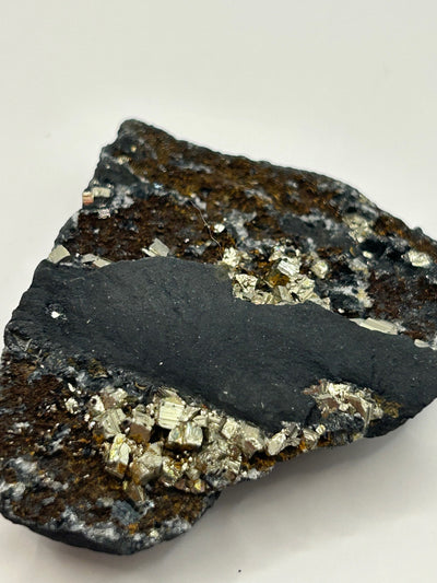 Shungite with Pyrite from Brazil