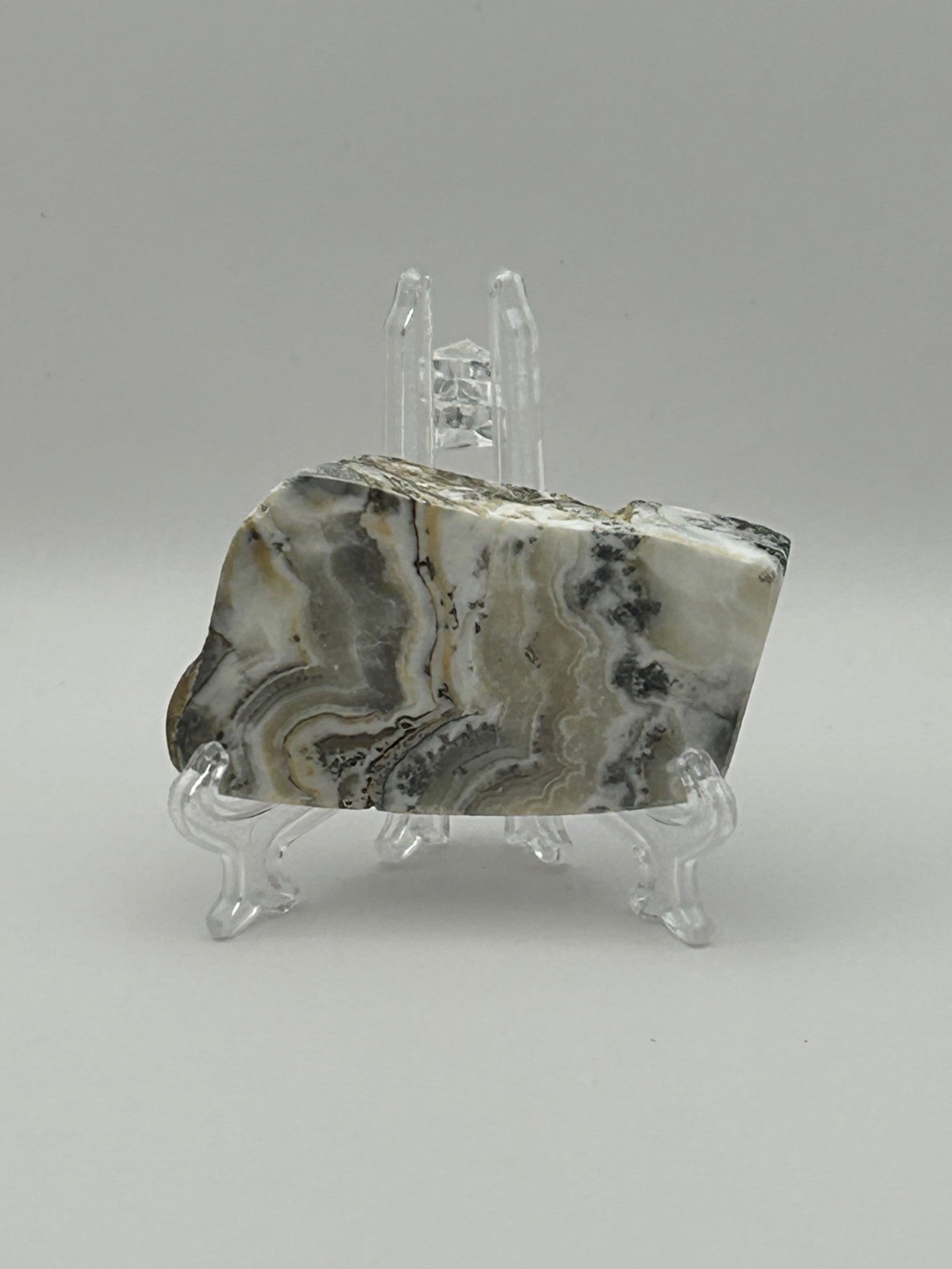 Dendritic Calcite