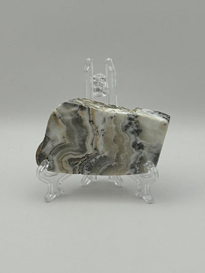Dendritic Calcite