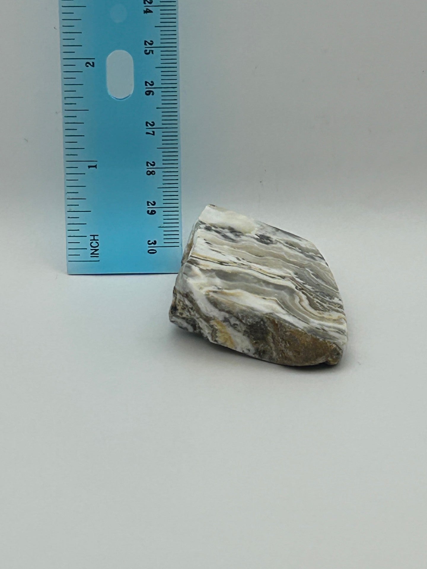 Dendritic Calcite
