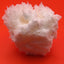 Aragonite