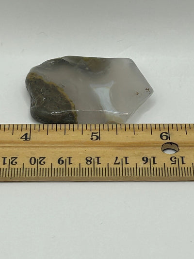 Polished Thunderegg with Agate Bands