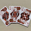 PlayingCardDecks.com-Turtle Gilded Bicycle Playing Cards
