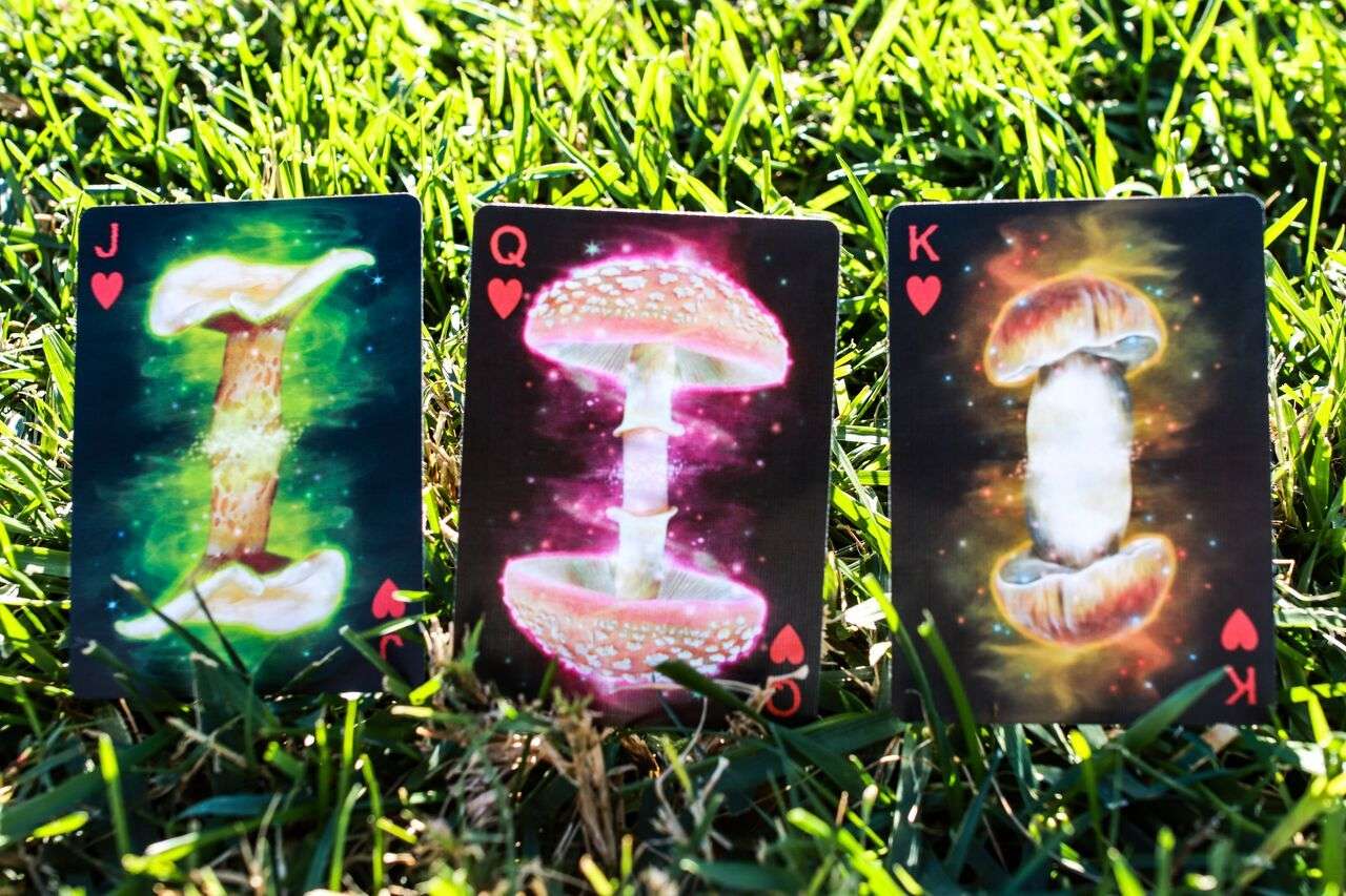 PlayingCardDecks.com-Fungi Mystic Mushrooms Mycological Playing Cards USPCC