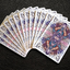 PlayingCardDecks.com-Aves Uncaged Bicycle Playing Cards