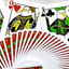 PlayingCardDecks.com-Kiwi Playing Cards Cartamundi