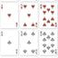PlayingCardDecks.com-Gyrfalcon Bicycle Playing Cards