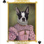 PlayingCardDecks.com-Animal Portraits Playing Cards USGS