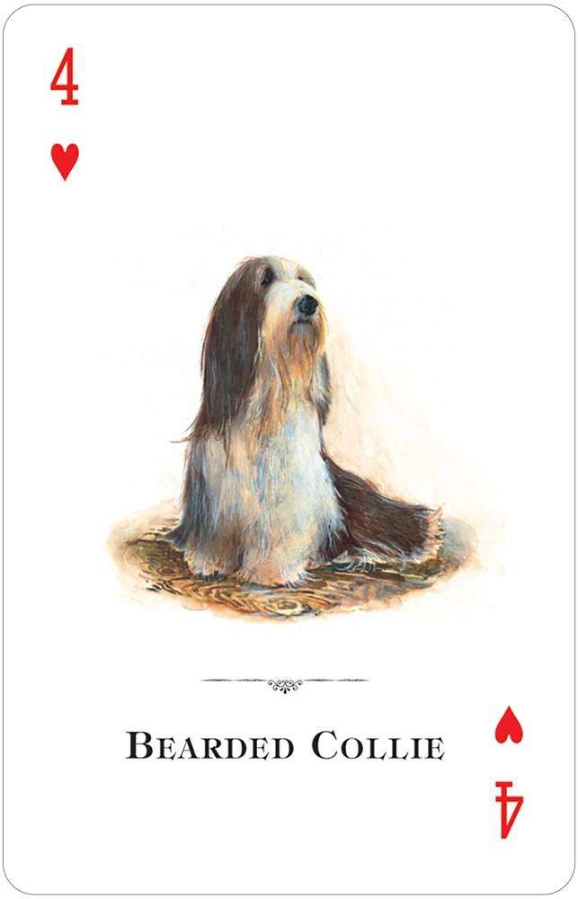 PlayingCardDecks.com-Dogs of the Natural World Playing Cards USGS