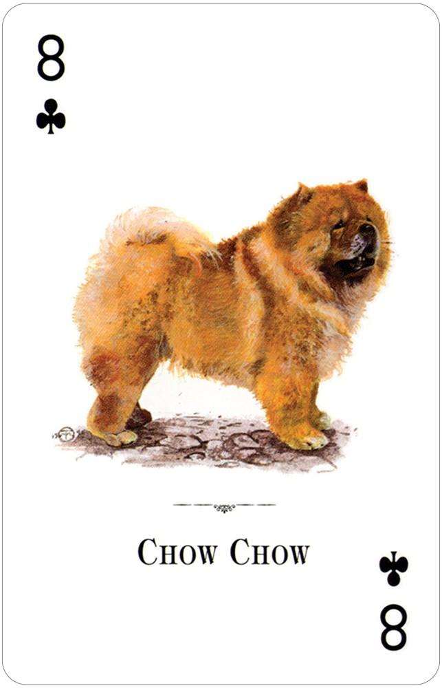 PlayingCardDecks.com-Dogs of the Natural World Playing Cards USGS