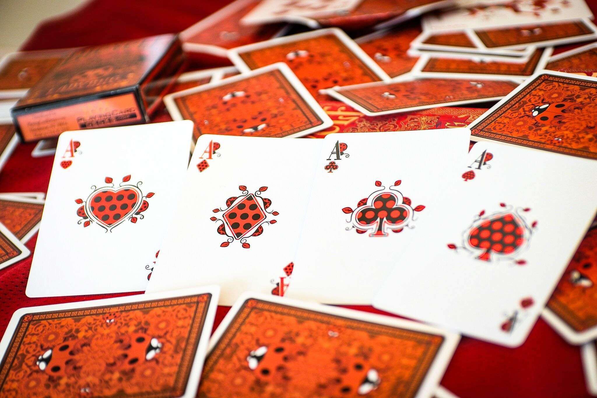 bicycle ladybug playing cards