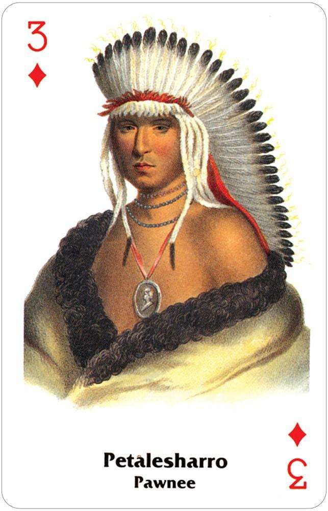 Native Cardd Native American Indian Card