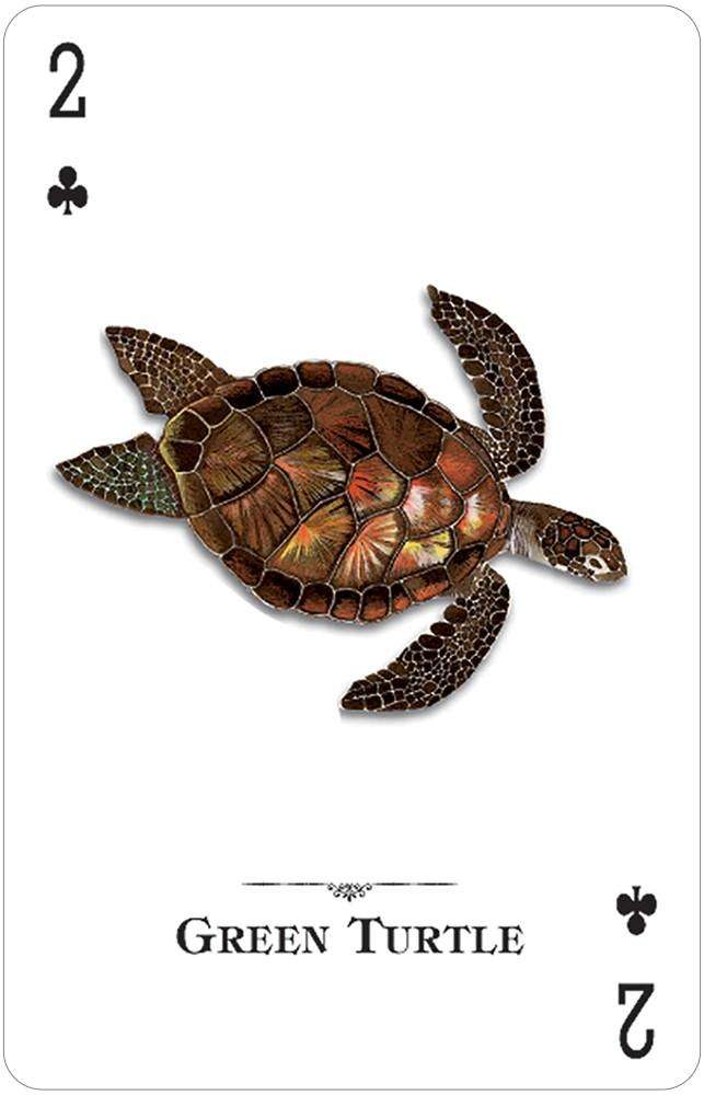 PlayingCardDecks.com-Reptiles & Amphibians of the Natural World Playing Cards USGS