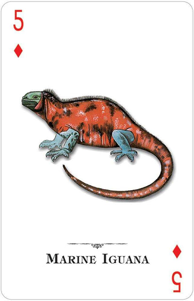 PlayingCardDecks.com-Reptiles & Amphibians of the Natural World Playing Cards USGS