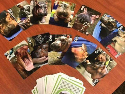 PlayingCardDecks.com-Fiona Hippo Bicycle Playing Cards