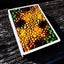 PlayingCardDecks.com-Kameleon Playing Cards HCPC