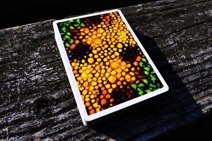 PlayingCardDecks.com-Kameleon Playing Cards HCPC