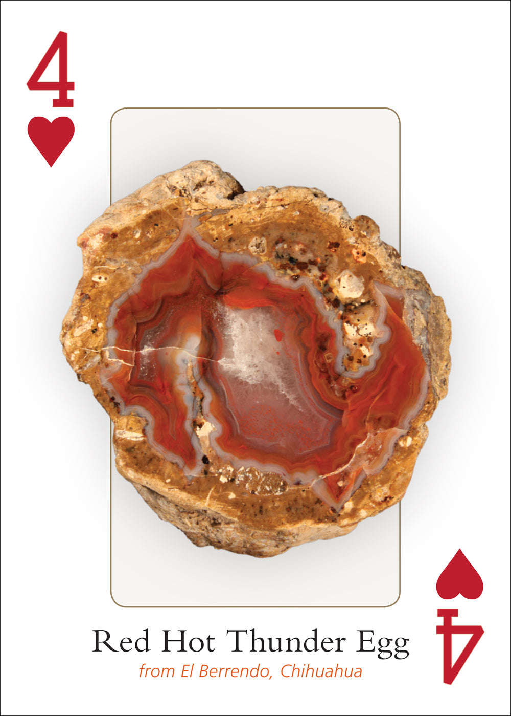 PlayingCardDecks.com-Agates of North America Playing Cards