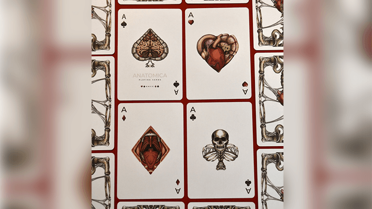 PlayingCardDecks.com-Anatomica Playing Cards Cartamundi